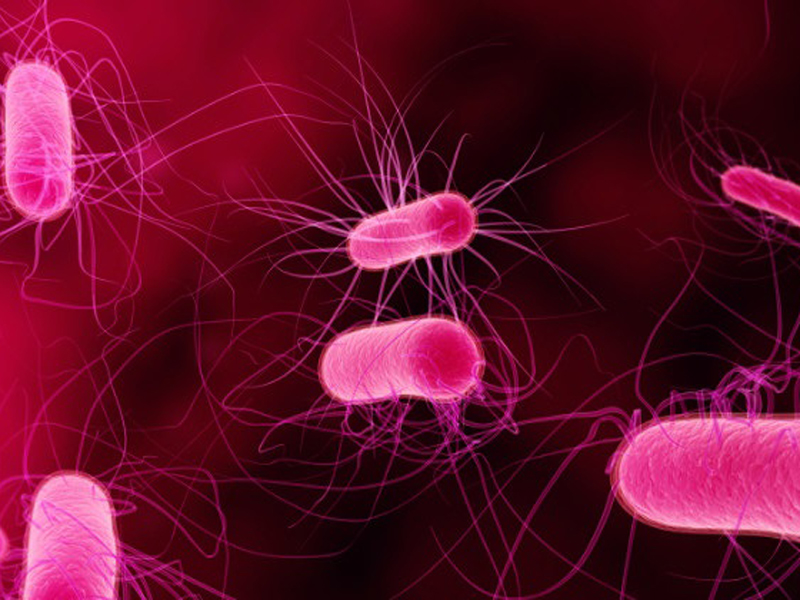 SANS Global Additives